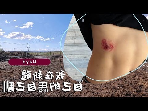 馬 取名
